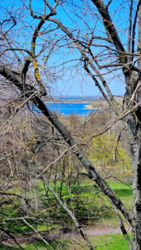 ������ 2� ��������� ���� 22