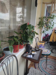 Продам или Обмен на 3х или 4х комнатную. фото 9 Продам или Обмен на 3х или 4х комнатную. фото 9