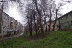 ������ ���������� �������� � ����� ���� ���� 19