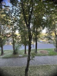 Продам 3х комнатную фото 10 Продам 3х комнатную фото 10