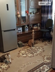 ������ 2�.�������� �������� ���� 13