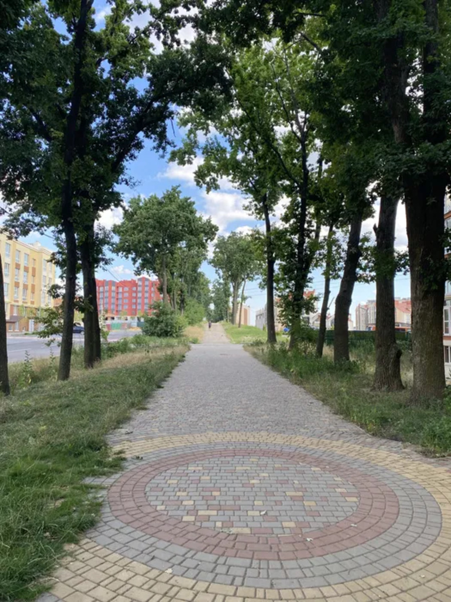 ������ �������� �� ����� �������� 36000 ���� 1