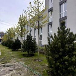  63 2,   ,  Sanville Park,   7
