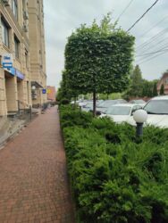 ������ �������� � �� ����������� 149000 ���� 24