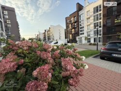 ��������� �������� ���� 4