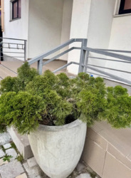 ������ �������� �� ������� 59000 ���� 12