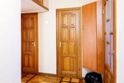    3-    ,  ,  ( )  31