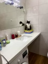    :  11