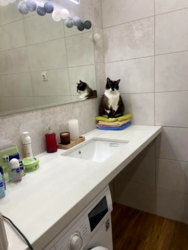 Продається 3к дворівнева квартира з частковим ремонтом. фото 11 Продається 3к дворівнева квартира з частковим ремонтом. фото 11