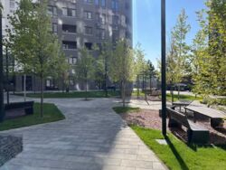  2-   Paradise Avenue 85000  2