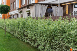 Продам квартиру ЖК Оранж парк 49000 фото 1 Продам квартиру ЖК Оранж парк 49000 фото 1