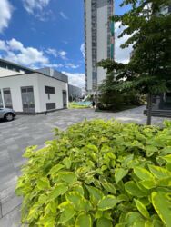   Crystal avenue 95 000.  4