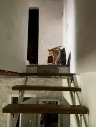    :  10