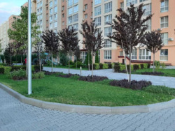 ������ ������ �������� � ������������.����� ����! ���� 22