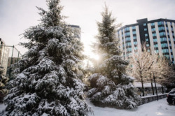 ������ �������� �� ������ ������� 85000 ���� 12