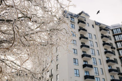 ������ �������� �� ������ ������� 85000 ���� 14