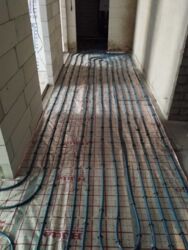 ������ �������� �� �������� ����� 60000 ���� 3