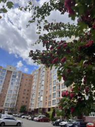 ������ �������� �� ���������� ����� 55000 ���� 1