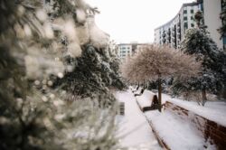 ������ �������� �� ������ ������� 85000 ���� 11