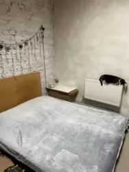    :  7