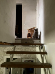 Продається 3к дворівнева квартира з частковим ремонтом. фото 12 Продається 3к дворівнева квартира з частковим ремонтом. фото 12