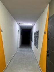 ��������� �������� �������, ���������� (����-�������������), ��������� ���� 12