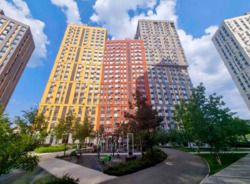 1-  44 2       Svitlo Park      3
