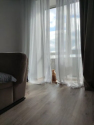 Двухкомнатная квартира ЖК Чайка.73465. фото 12 Двухкомнатная квартира ЖК Чайка.73465. фото 12