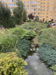 ������ �������� �� ����� ������� 71500 ���� 20