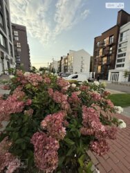 ��������� �������� ���� 3