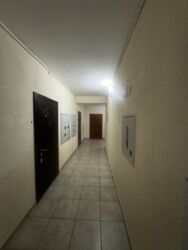 ������ 1-������� �������� 42,9�2 � �� ������ �������� ���� 12