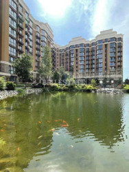 ������ �������� �� ����� ���� 83000 ���� 7