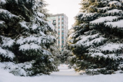 ������ �������� �� ������ ������� 85000 ���� 13