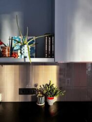 ������ �������� � �� ����� ���� 85000 ���� 16