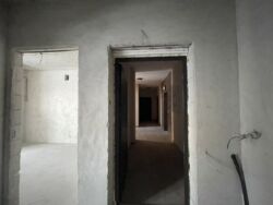 ������ �������� �� ����� �������� 88000 ���� 8