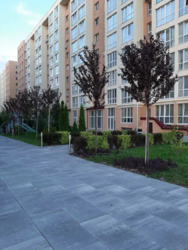 ������ ������ �������� � ������������.����� ����! ���� 24