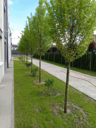  2        Sanville Park;  12