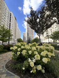 ������ �������� �� ���� ����� 125000 ���� 23