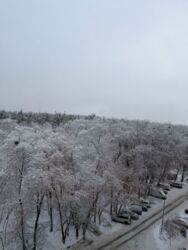 ������ �������� � �� ����������� ������� 140000 ���� 6