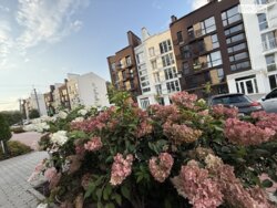 ��������� �������� ���� 5