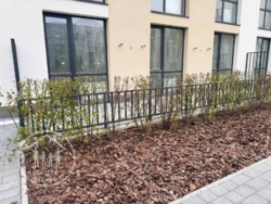 Продається квартира Зелена бічна, 101, Басівка, Пустомитівський, Львівська фото 2 Продається квартира Зелена бічна, 101, Басівка, Пустомитівський, Львівська фото 2