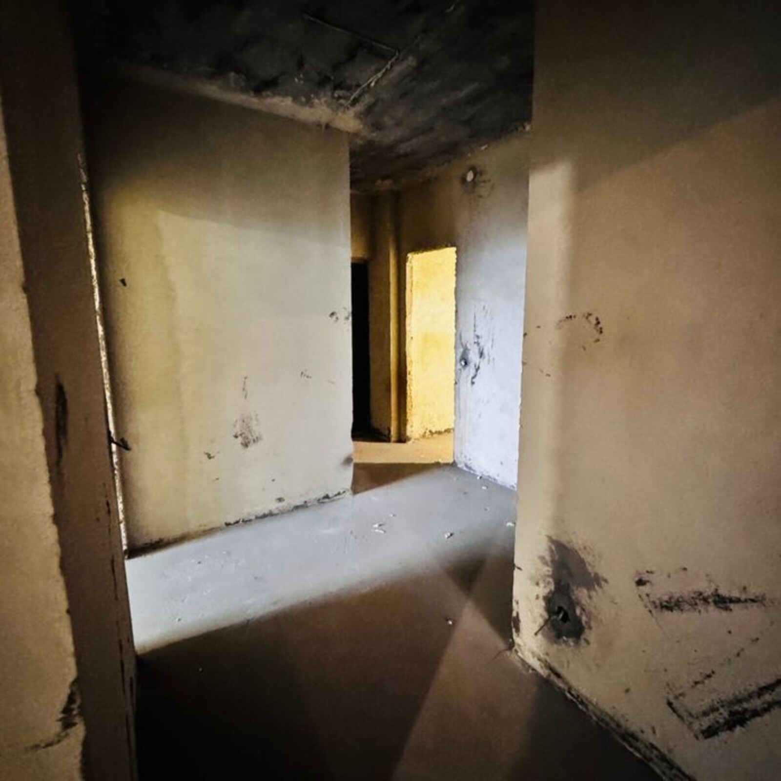 ��������� �������� ����, ��������, ������������� ���� 1