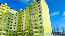 ��������� �������� ������, 115, ����, ��������, ����������� ���� 1