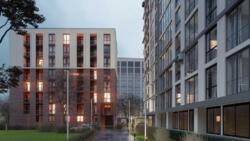 ��������� �������� ������������, ����, �������� ���� 3