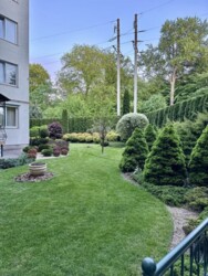 ��������� �������� ����, ��������, ��������� ���� 19