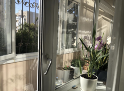 Продається квартира Львівська, Львів, Шевченківський, Плугова, 5 фото 14 Продається квартира Львівська, Львів, Шевченківський, Плугова, 5 фото 14