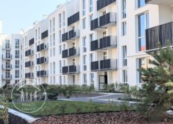 ��������� �������� ����� ����, ���������, ����, �������� ���� 1