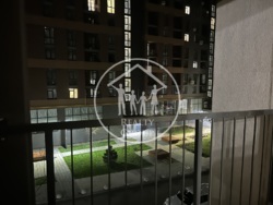 ��������� �������� ������, 204, ����, ��������, ���������� ���� 17