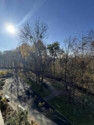 ��������� �������� ������, ����, ��������, ����������� ���� 16