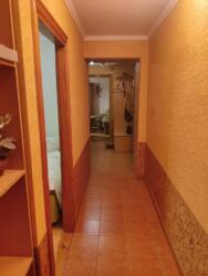 ��������� �������� �������� ���., ����, ��������, ���������� ���� 13